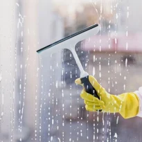 best cleaning services in solan